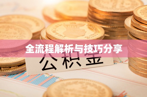 驿城全流程解析与技巧分享